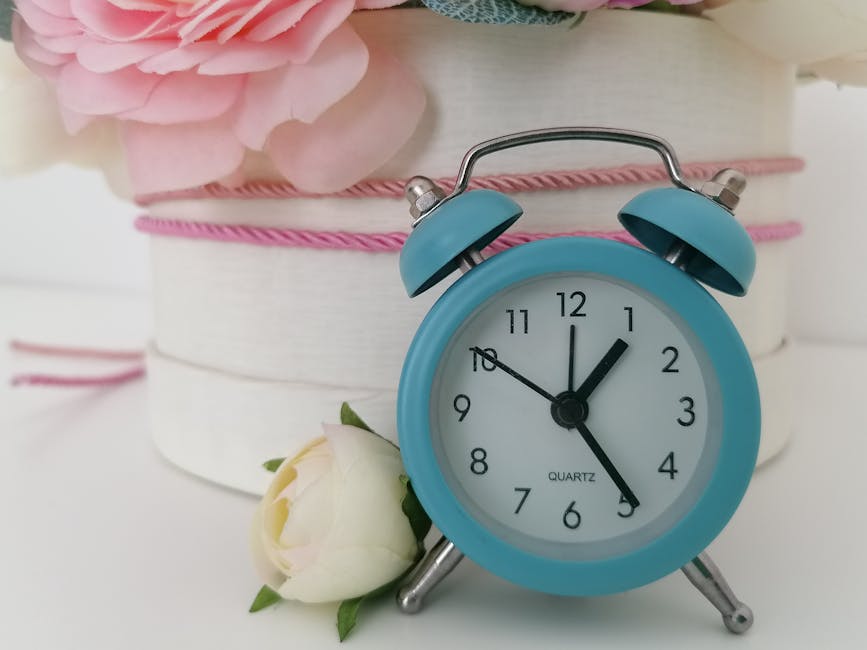 A light blue vintage-style alarm clock with twin bells on top, showing the time as 12:05, positioned in front of a large, round gift box wrapped in white paper with pink and darker pink ribbon accents
